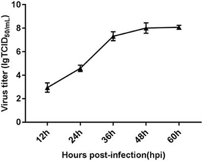 Transcriptome Analysis of Genes Responding to Infection of Leghorn Male Hepatocellular Cells With Fowl Adenovirus Serotype 4